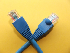 Blue RJ-45 (8P8C) patchcord of the type commonly used to connect network devices.